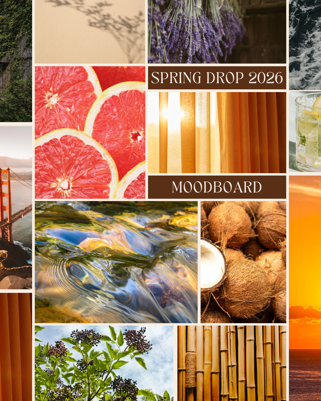 Spring Candle Drop 2026: Moodboards, Fragrance Notes & Scent Profiles